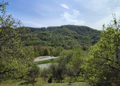 Земельный участок, 25 соток - фото 1