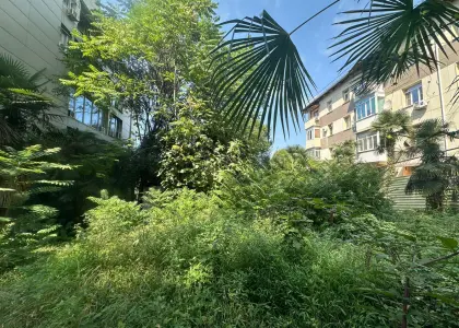 Земельный участок, 8.1 соток - фото 1