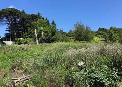 Земельный участок, 25 соток - фото 1