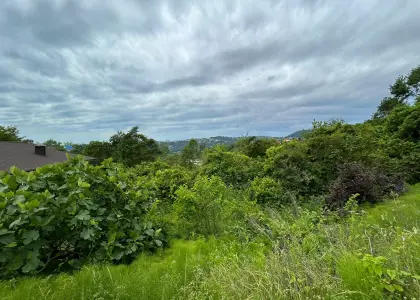 Земельный участок, 6 соток - фото 1