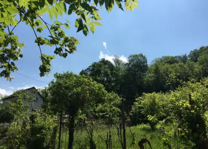 Земельный участок, 5.27 соток - фото 1