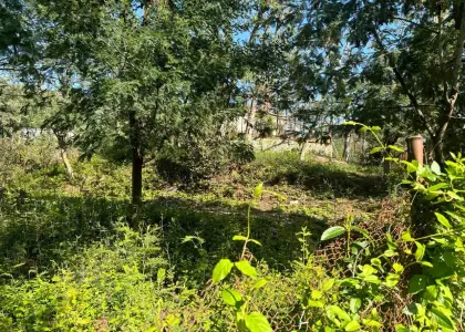 Земельный участок, 10 соток - фото 1