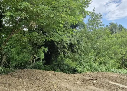 Земельный участок, 6 соток - фото 1