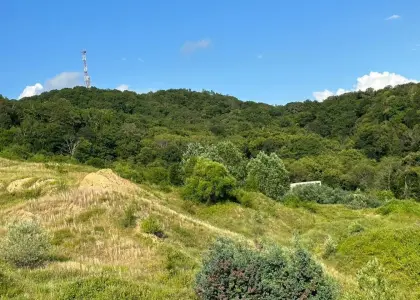 Земельный участок, 64 сотки - фото 1