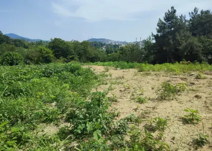 Земельный участок, 20 соток - фото 1