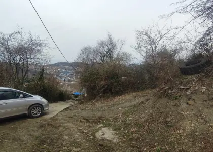 Дом, 74.3 м² - фото 1