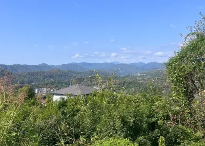 Земельный участок, 4.35 сотки - фото 1