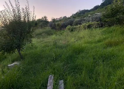 Земельный участок, 7.4 соток - фото 1