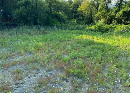 Земельный участок, 6 соток - фото 1