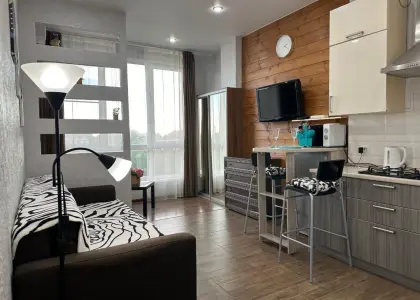 Студия, 23.7 м² - фото 1