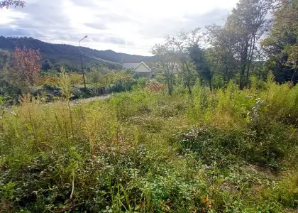 Земельный участок, 12 соток - фото 1