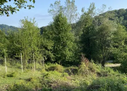 Земельный участок, 5.5 соток - фото 1