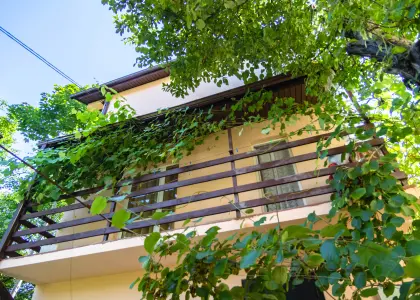 Дом с видом на горы! - фото 1