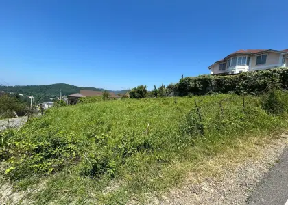 Земельный участок, 4.9 сотки - фото 1