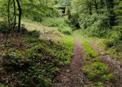 Земельный участок, 5.5 соток - фото 1