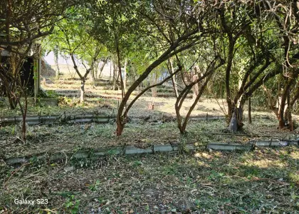 Земельный участок, 19 соток - фото 1