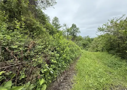 Земельный участок, 5.5 соток - фото 1