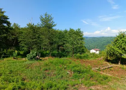 Земельный участок, 4.5 сотки - фото 1