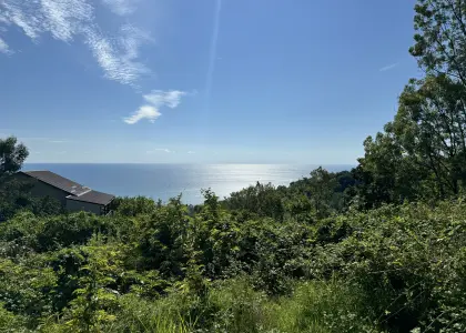 Земельный участок, 5 соток - фото 1