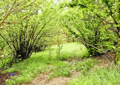 Земельный участок, 12.3 соток - фото 1