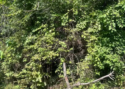 Земельный участок, 5 соток - фото 1