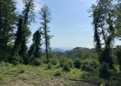 Земельный участок, 8.73 соток - фото 1