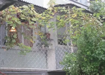 1-комнатная квартира, 36 м² - фото 1