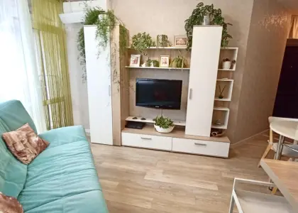1-комнатная квартира, 30 м² - фото 1