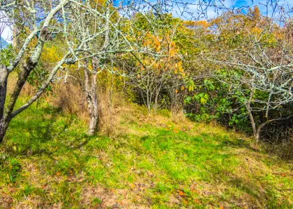 Участок с видом на горы! - фото 1