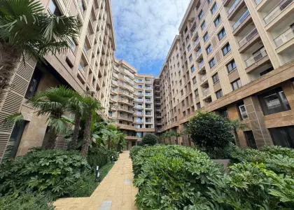 Студия, 22.4 м² - фото 1