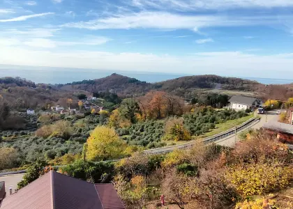 Земельный участок, 19 соток - фото 1