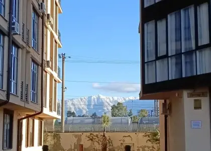 Студия, 23 м² - фото 1