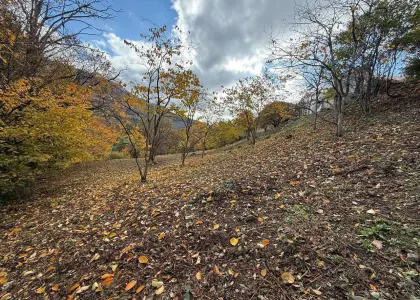 Земельный участок, 24 сотки - фото 1