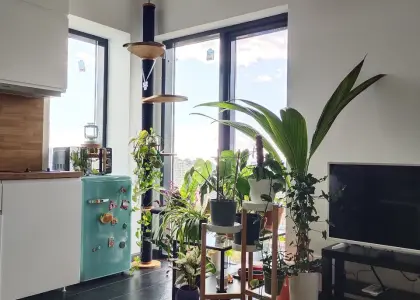 1-комнатная квартира, 34 м² - фото 1