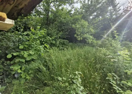 Земельный участок, 6 соток - фото 1