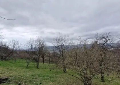 Земельный участок, 9.25 соток - фото 1