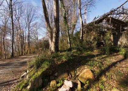 Земельный участок, 47 соток - фото 1