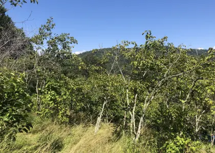 Земельный участок, 21 сотка - фото 1