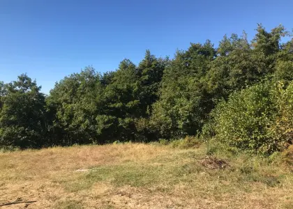 Земельный участок, 7 соток - фото 1