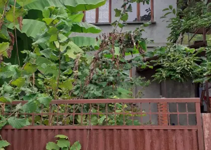 Дача, 60 м² - фото 1