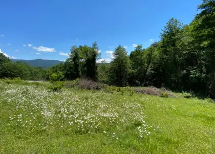 Земельный участок, 100 соток - фото 1