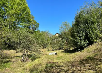 Земельный участок, 22 сотки - фото 1