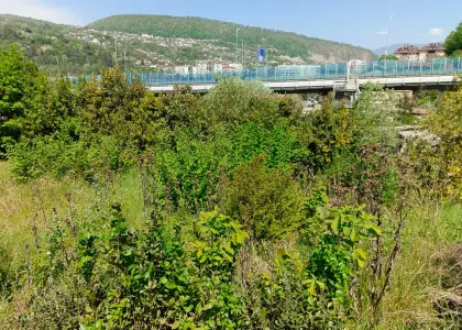 Участок 15 соток - фото 1