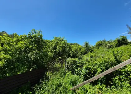 Земельный участок, 32 сотки - фото 1