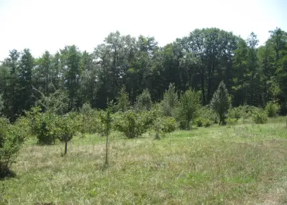 участки - фото 1