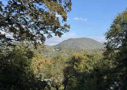 Земельный участок, 5.46 соток - фото 1