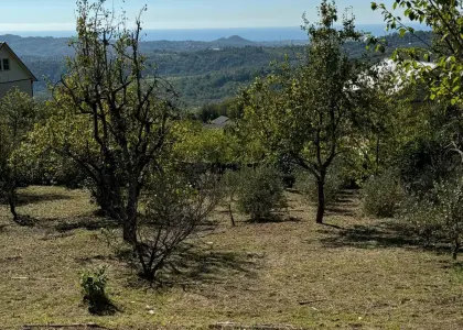 Земельный участок, 34 сотки - фото 1