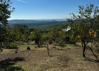 Земельный участок, 7 соток - фото 1