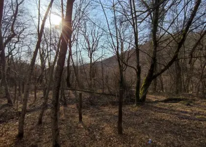 Земельный участок, 21 сотка - фото 1