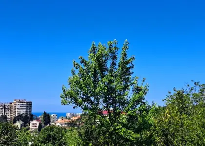 Земельный участок, 12 соток - фото 1